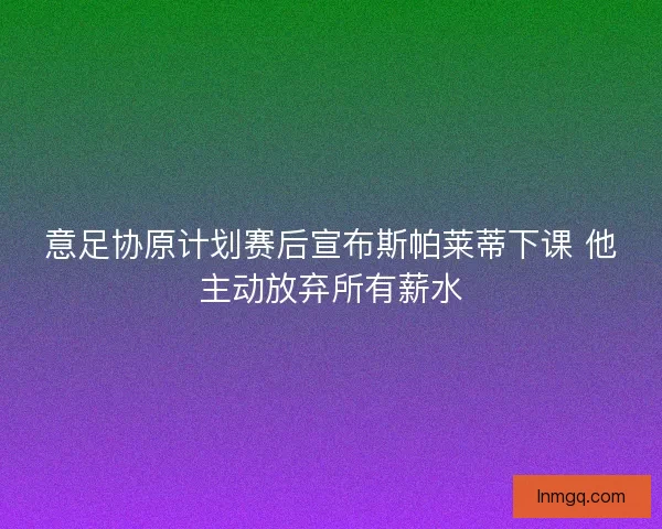 意足协原计划赛后宣布斯帕莱蒂下课 他主动放弃所有薪水